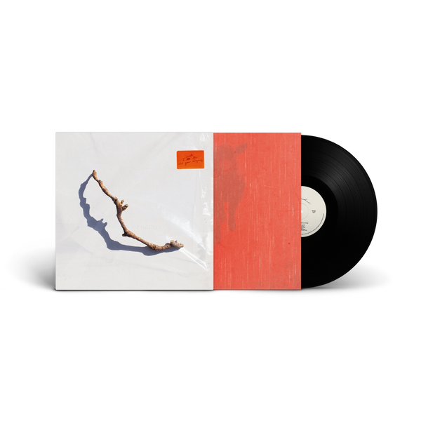PJ Harvey - I Inside the Old Year Dying - Black Vinyl LP