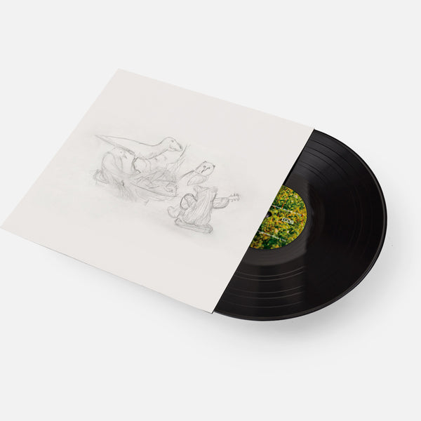 Big Thief – Dragon New Warm Mountain I Believe In You – Black Vinyl Double LP