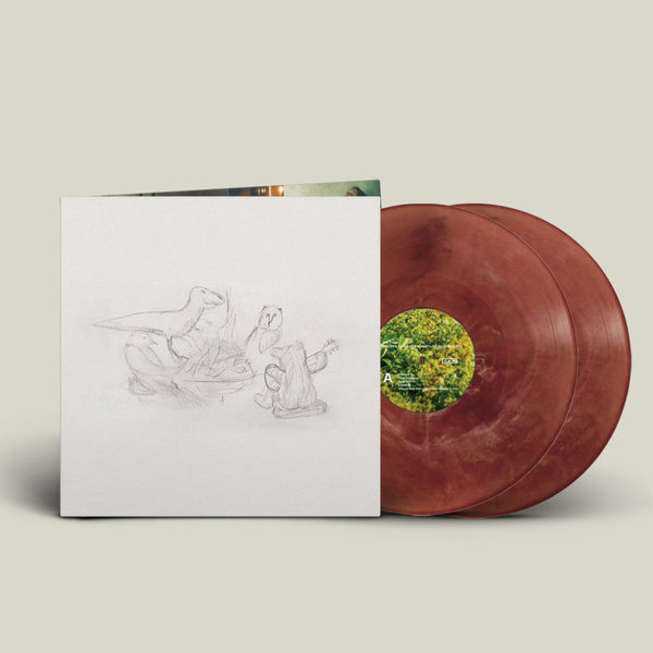 Big Thief – Dragon New Warm Mountain I Believe In You – Eco-Friendly Double LP 