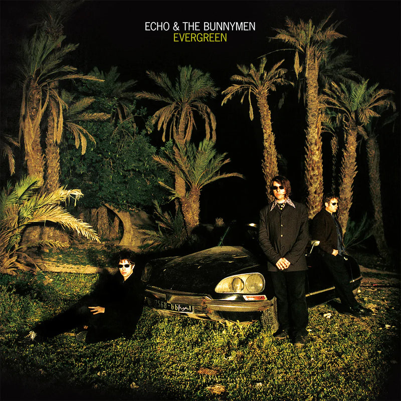 Echo & The Bunnymen - Evergreen - Album Cover Artwork