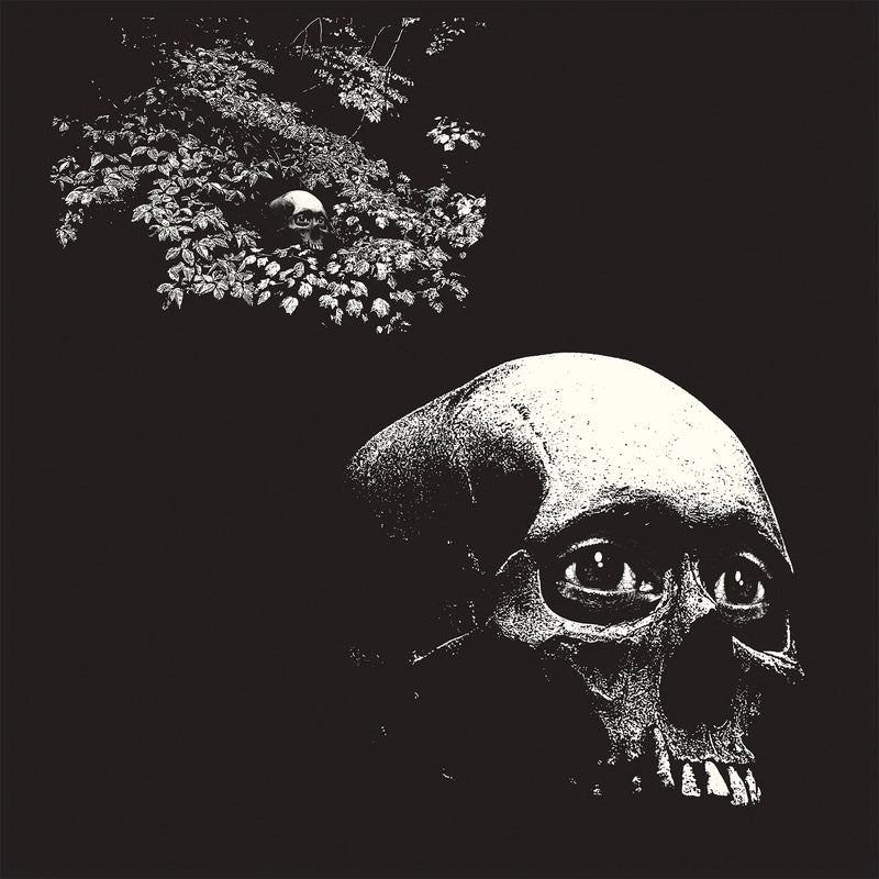 Osees - A Foul Form - 12" Black Vinyl LP