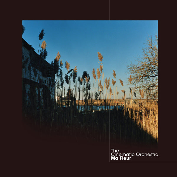 The Cinematic Orchestra - Ma Fleur - Album Cover Artwork