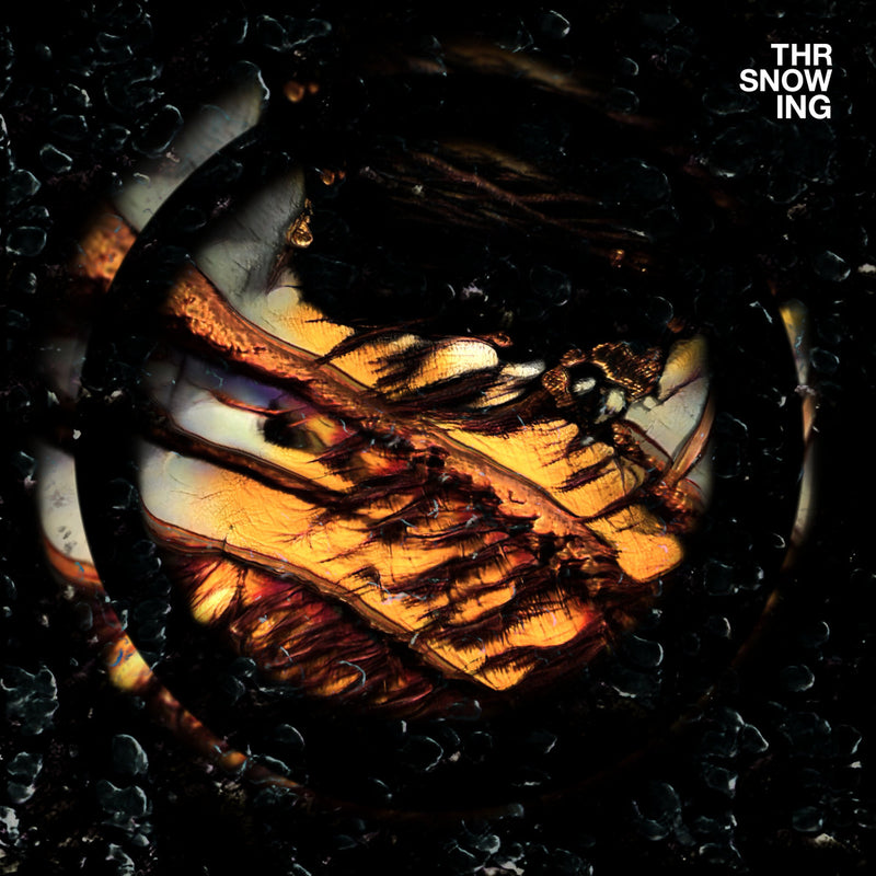 Throwing Snow - Dragons - Album cover artwork