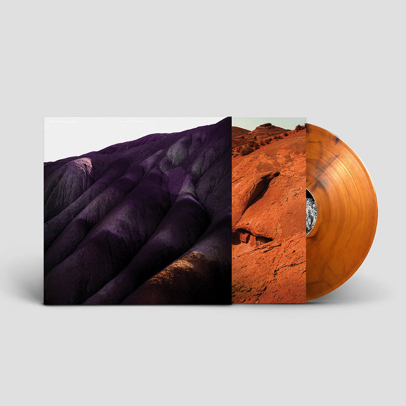 Whispering Sons | Several Others | Limited Edition 'Rust' Coloured Vinyl LP
