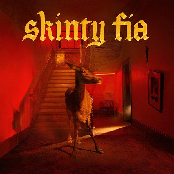 Fontaines D.C – Skinty Fía - Album Cover Artwork